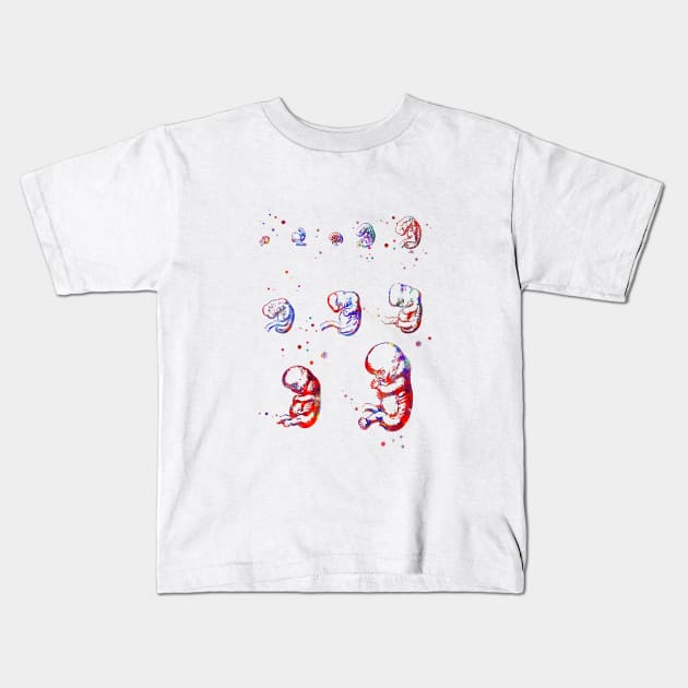 Cephalic position Kids T-Shirt by RosaliArt